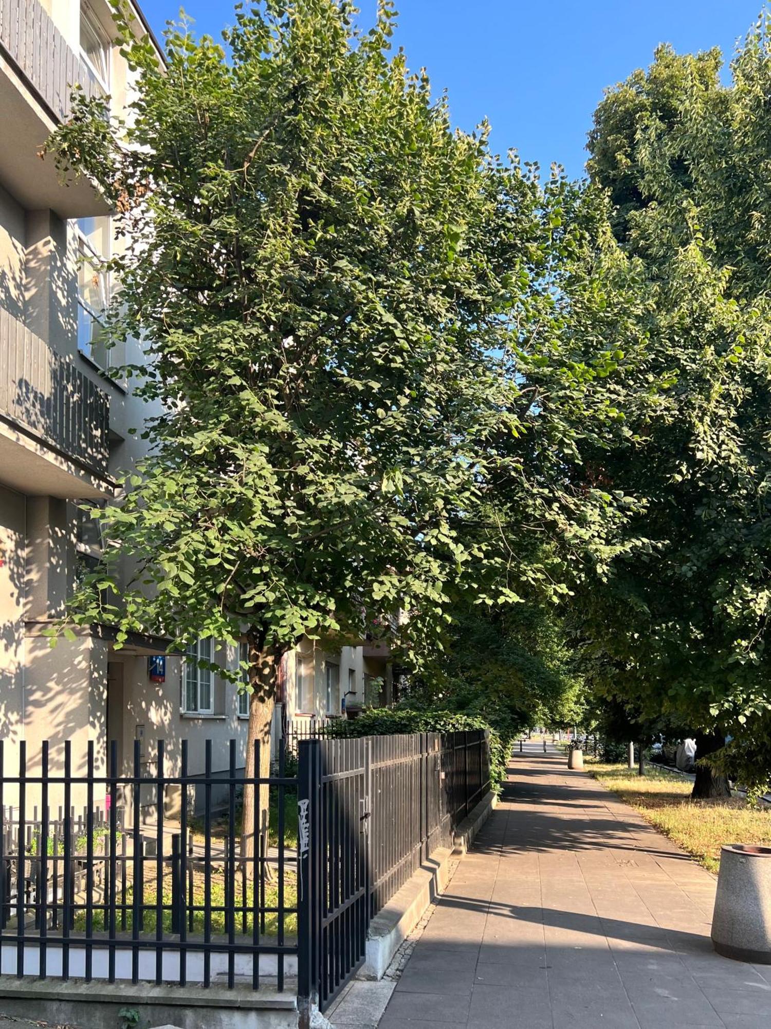 Mieszkanie Na Saskiej Kepie Varsóvia Exterior foto